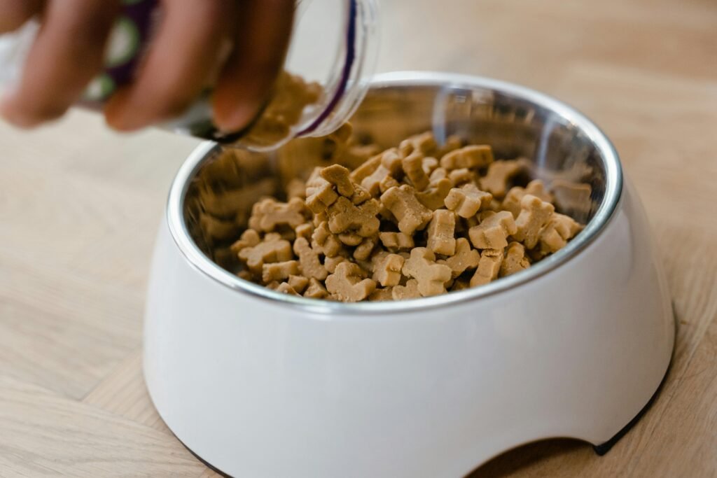 Close-up of hand pouring dog biscuits into a bowl, perfect for pet care themes.